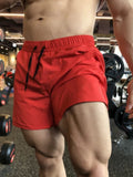 Men's Sport Running Shorts red